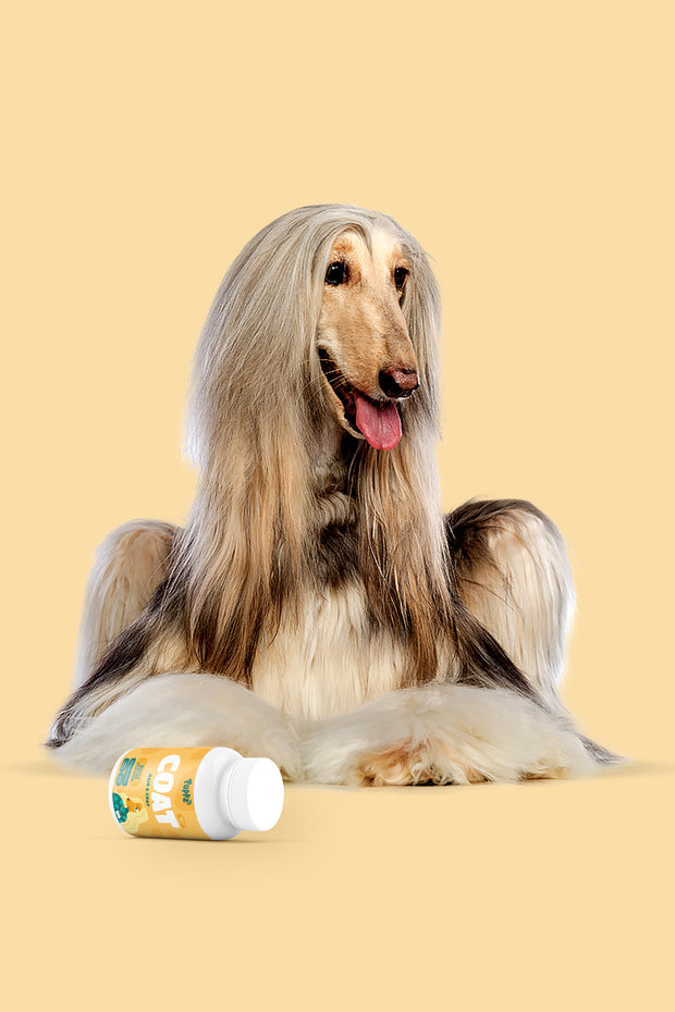 Puppz Coat, Hair & Skin Health Dog Supplement
