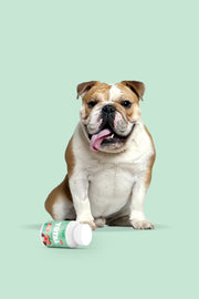 Puppz Total Health Dog Supplement
